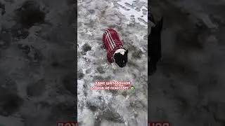 шипованная резина тоже не панацея...