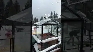 NathiaGali Snowfall Old But Gold #nathiagali #Snowfall #Quran #dongagali
