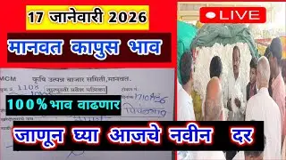 🔴17 जानेवारी 2026।मानवत कापूस भाव |Kapus bajar bhav।कापुस बाजार भाव आजचे।Kapus Bhav Today|8300|