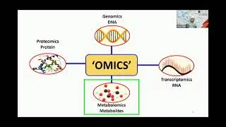 LC HRMS data analysis case of metabolomic
