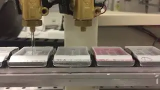 Tissue Processor