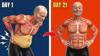 10 Minute Chair Exercises for Seniors to Strengthen the Lower Back