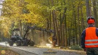 Harvester am Limit Spezialbaumfällung auf Straße Holzfäller im Einsatz Problem-Baumfällung 2021
