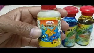 Aquarium Fish Medicine & Treatment for Winter in Bengali (ডানা খসা, সাদা দাগ, আস খসা, না খাওয়া etc)