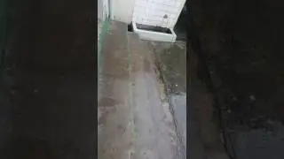 Best bottle flip ever
