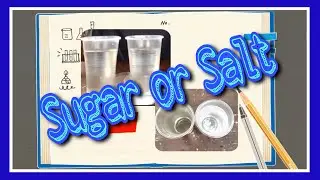 which substance dissolve first in water sugar or salt?