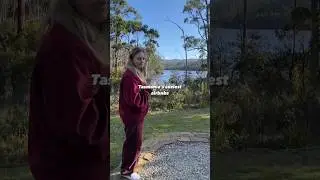 the BEST Tasmania airbnb stays