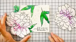 Hero Arts + Altenew Collaboration: Bloom & Grow