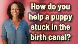How do you help a puppy stuck in the birth canal?