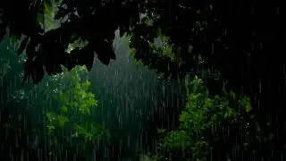 Heavy Rain Sounds for Deep Sleep - Forest Rain on Leaves, Relaxing White Noise