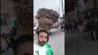 local tv