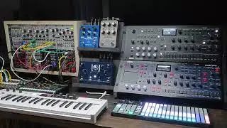 Obsidian Shroud (Oxi One, multi/poly, Wavestate, Plaits, Mercury X)