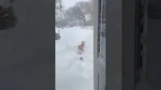 Jumping naked into the Snow Storm in Kansas