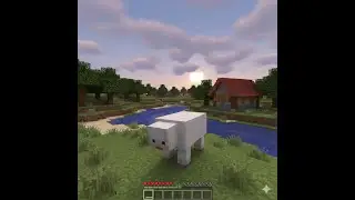 Minecraft toxic