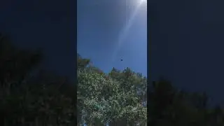Bye bye balloon