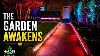 This Is What Happens When You Automate a Garden with WLED