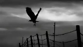 Loneliness Observatory - Dark Horizon (Single: 2021)  Dark East Productions