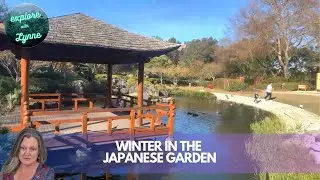 A Walk Through the Edogawa Commemorative Gardens and Gosford Regional Gallery