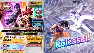LF Tag Hit & God Goku Final Summon!!!-Dragon Ball Legends