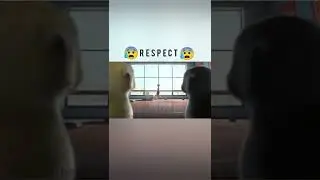 Ava Max Into your arms|Respect 100 % | Tik tok videos|Short videos #short #shortvideo #respect