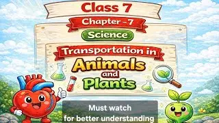 Transportation in Animals and Plants, Class 7 must watch #education  #youngminds #ncert 🪴
