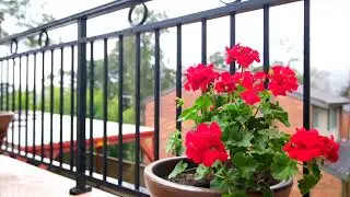 North Gosford Property For Sale Prime Realtor Real Estate Central Coast NSW Australia