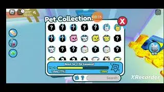 How to get +1 pet equipped in pet sim x