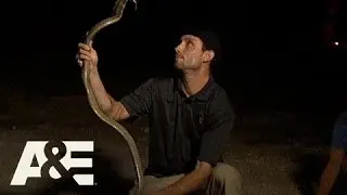 Wild Transport: Justin Evades a Snake Bite (Season 1, Episode 1) | A&E