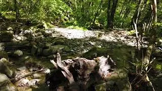 PARTIGIANI MTB Trail Riding Molini di Triora