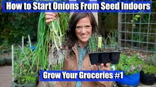 Starting Onion Seeds Indoors/Grow Your Groceries with CaliKim #1 🍅🥬🥕🥗🍓