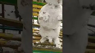 новые изменения с бомж валерой