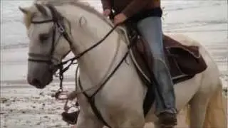 RAND'OLERON 2012