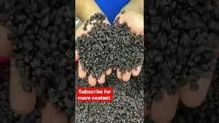 Black currant benifits 💪#shorts #health #gymdiet #healthyfood #dryfruits