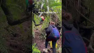 Tara, bundok!  #naturevlog #ecotourismph #philippineshiking #adventure #mountains