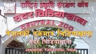 नेपालको एकमात्र चिडियाखाना यस्तो छ🐘🦏This is the only zoo in Nepal🇳🇵 #ktm #sewaliofficial  #everyone