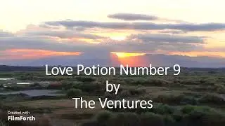 The Ventures - Love Potion Number 9