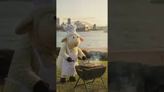 Sheep's Day Out: Fishing adventure in Sydney #CinematicFilm #HappySheep