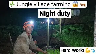 Dark side of Farming 😅 profit ❌ Hard work ✅ || Rat ki light 💡 me sprinkler chalu 11:30 😱😱😱