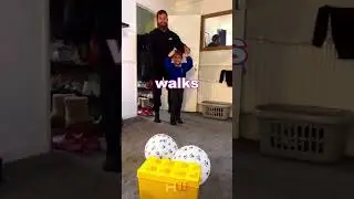 Boy Gets Surprise Puppy For His Birthday! 🎁🐶😍