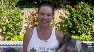 Got Poo? Poop Scooper & Pet Services getfvid 58448501 569094946915930 3205935822217936896 n