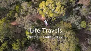 LIFE TRAVELS - WOMBAT STATE FOREST - HUMP DAY MINI EPISODE