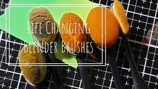 Life Changing Blender Brushes: What I Learned from Nichole Petersen