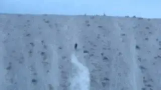 Roosting a little hill in Smith Valley