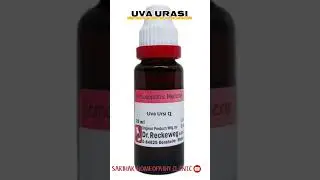 Top 5 UTI Remedy #urineproblems #shorts #shortsfeed #ytshorts #urinalysis #viralshorts #healthcare