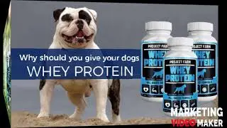 Why Whey Protein for Dogs...