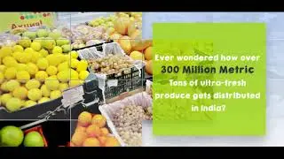 Most Engazed Little Employed- unfolding fruits & vegetables supply chain