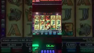 Wild Life Slot Big win free spins Faune Frim&eacute;e 4 100$