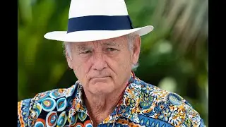 Bill Murray Accused of Inappropriate Behavior on Being Mortal Set, Production Suspended: Reports