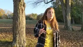 Next Gen Preacher Search