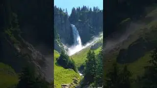 Waterfall🌊🌲